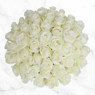 Bijele ruže od 50 stabljika