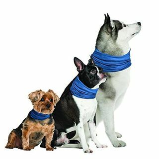 Novine marke K9 ogrlica za hlađenje pasa (mala / srednja 8