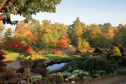 RHS Garden Wisley: Rock Garden i Wild Garden u Wisleyu na jesen