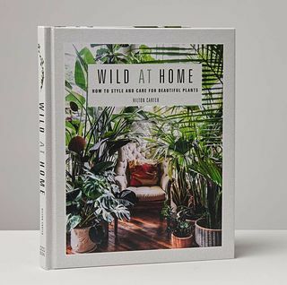Wild at Home: Stil i briga za lijepe biljke