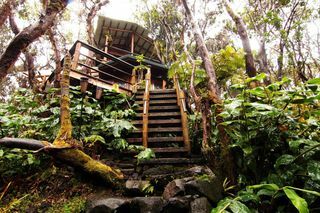 Treehouse na vulkanu Kilauea