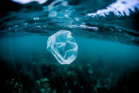 Plastična vrećica koja pluta iznad grebena u oceanu, Kostarika