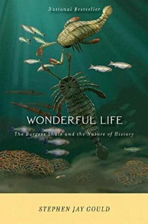 Divan život: Burgess Shale i priroda povijesti