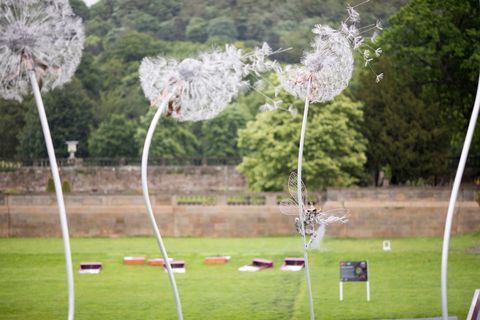 RHS Chatsworth Flower Show 2017 danas (utorak 6. lipnja 2017)