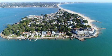 Western Gate - Sandbanks - Dorset - antena - Savills