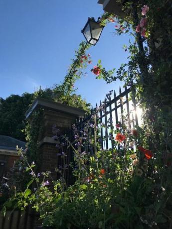 jamjar cvjetni dizajn londonskih vrata, izložba cvijeća rhs chelsea