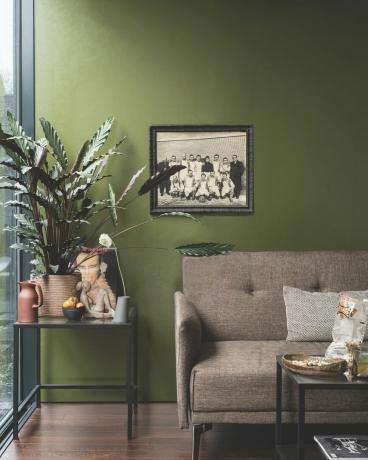 Green Farrow & Ball dnevna soba