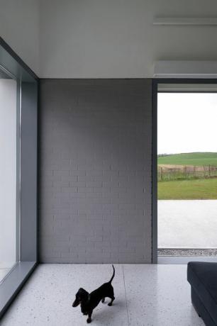 House Lessans, izvanredno jednostavan dom u County Downu koji je dizajnirao McGonigle McGrath, proglašen je RIBA House of Year 2019