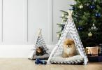 Aldi Special kupi: Aldi prodaje 39,99 £ Sofa krevet za kućne ljubimce za Božić