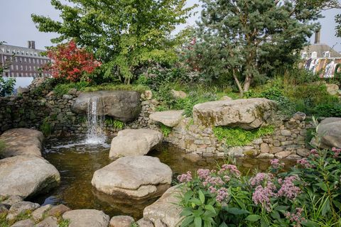 rhs chelsea flower show 2021 utočište vrtovi