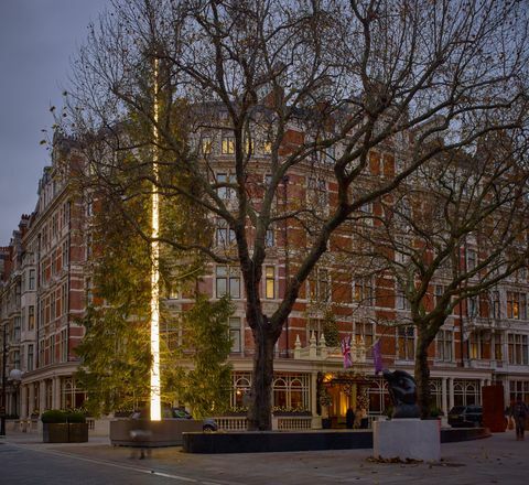 Connaught božićno drvce 2016 Antonyja Gormleyja predstavljeno je danas u Mayfairu