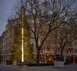 Jednostavnost i snaga svjetlosti definiraju Connaughthovo božićno drvce