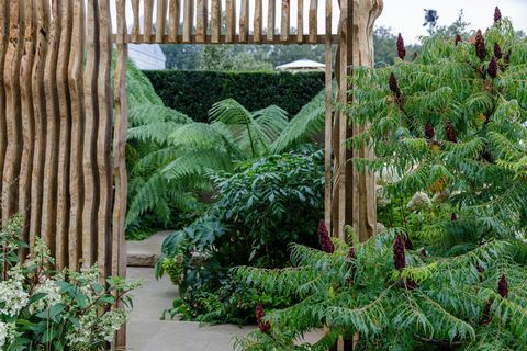 rhs chelsea flower show 2021 utočište vrtovi