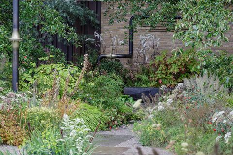 rhs chelsea show gardens 2021 show gardens