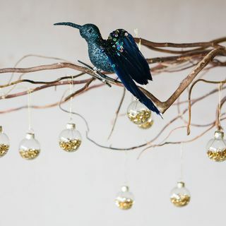 Plava šljokica za kolibrije