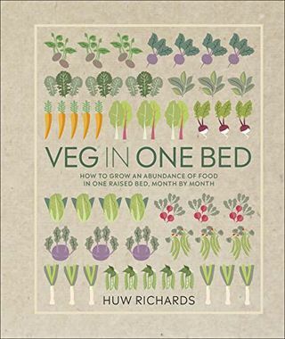 Povrće u jednom krevetu: kako uzgajati obilje hrane u jednom podignutom krevetu, iz mjeseca u mjesec