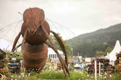 RHS Chatsworth Flower Show 2017 danas (utorak 6. lipnja 2017.) Natjecanje RHS School - Bug Hotels