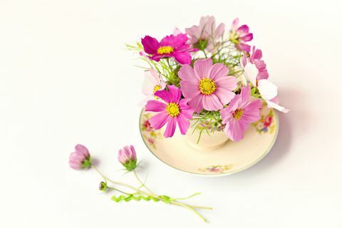 Prilično ružičasto cvijeće u čašici