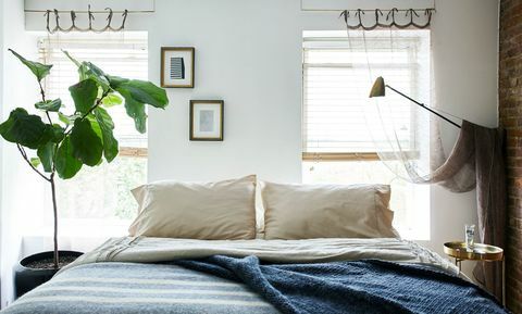 plava spavaća soba s biljkom