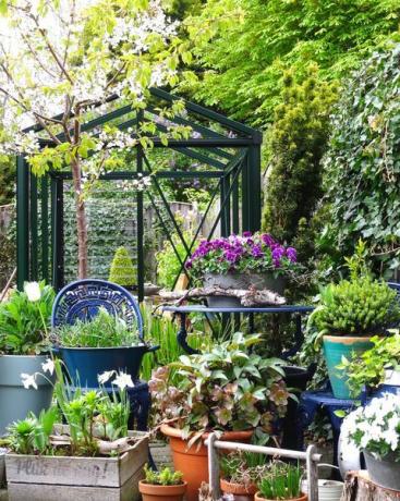 urbani vrt mali mini engleski vertikalni vrt sa staklenikom lijep i zeleni svježi početak proljeća uzgoj vlastitog povrća