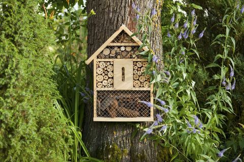 Pčelinji hotel, kuća za insekte