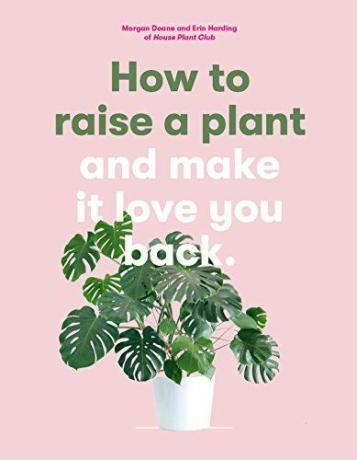 Kako uzgajati biljku: i učiniti da vas voli natrag