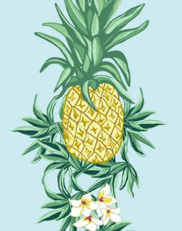 Ananas ekspres Nathana Turnera - Sky