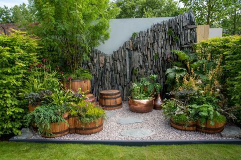 chelsea flower show 2022 balkonski vrt