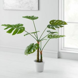 Umjetna biljka Monstera u saksiji