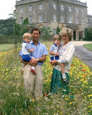 tetbury, Engleska 14. srpnja princ Charles, princ od Walesa i Diana, princeza od Walesa poziraju sa svojim sinovima princom Williamom i princ Harry na livadi divljeg cvijeća u Highgroveu 14. srpnja 1986. u Tetburyju, Engleska, fotografija tim graham fototeka putem gettyja slike