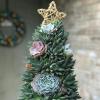 Ova sočna božićna drvca dodat će svečani prizvuk vašem blagdanskom dekoru