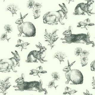 Inspiriran pozadinom boja Bunny Toile At4263