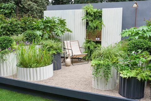 rhs chelsea flower show 2021 kontejnerski vrtovi