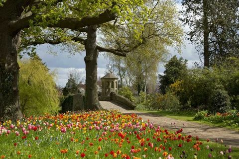 Dunsborough Park - Surrey - cvijeće - Savills