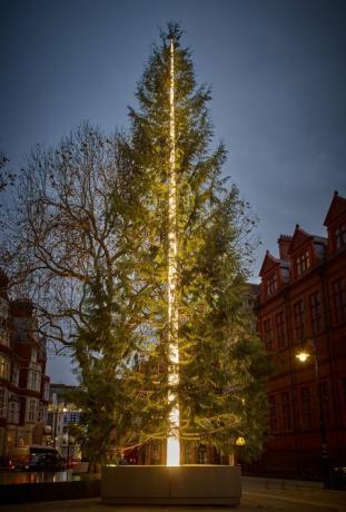 Connaught božićno drvce 2016 Antonyja Gormleyja predstavljeno je u Mayfairu