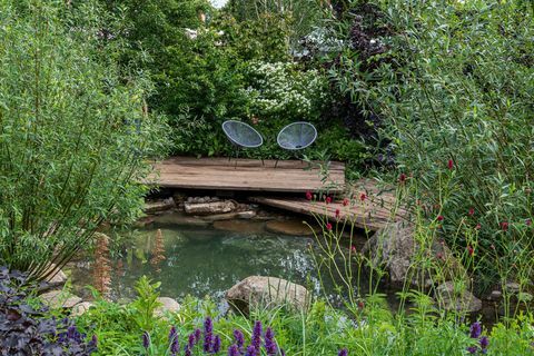 rhs vrt za zelenu budućnost koji je dizajnirao Jamie Butterworth u palači u palači Hampton Court 2021