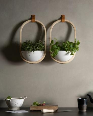 maya sustainable wood planters Tom Raffield