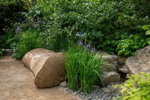the place2be osiguravajući sutrašnji vrt koji je dizajnirao jamie butterworth rhs chelsea cvjetna izložba 2022.