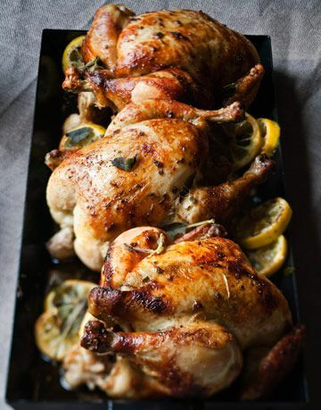 slika biljne pečene piletine s receptom limuna i kadulje