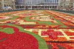Ovaj spektakularni cvjetni tepih izrađen je od 700.000 latica begonije