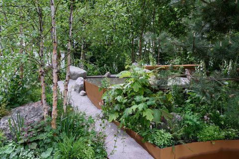 Obiteljski Monsters Garden, koji je dizajnirao Alistair Bayford - Chelsea Flower Show 2019