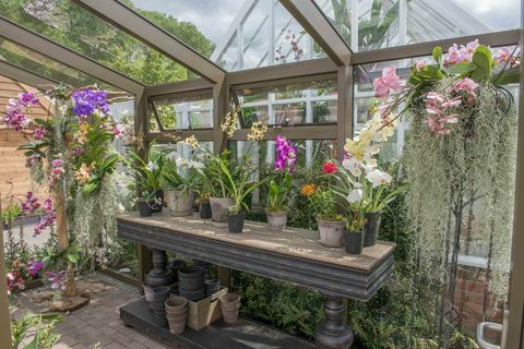 Hartley Botanic - Sajam cvijeća Chelseaja