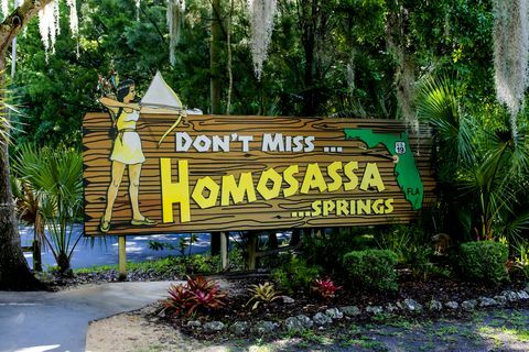 Reklamni transparent Homosassa Springs na Floridi