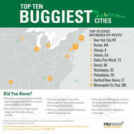 trugreen infograpic 10 gradova s ​​najviše grešaka