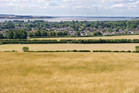 "selo Elloughton cum proraslo preko polja pšenice na obalama ušća Humber u Yorkshireu, u Engleskoj"