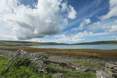 Holm of Grimbister - Škotska - Orkney - teren - Savills