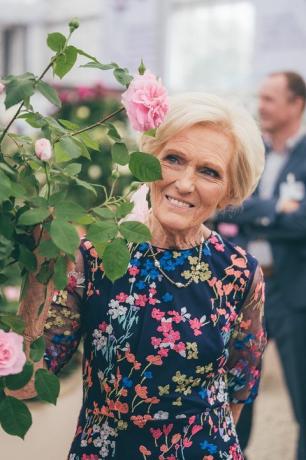 Slavne osobe na zaslonu David Austin Roses Secret Garden, Chelsea Flower Show 2019