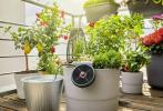 Chelsea Flower Show: Dobbies osvajaju najbolji proizvod za održivi vrt