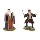 Voditelj i Harry Figurine Set