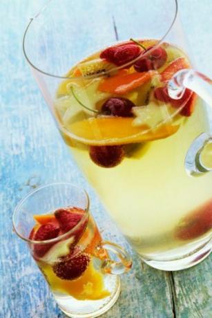 bacač pavan sangria